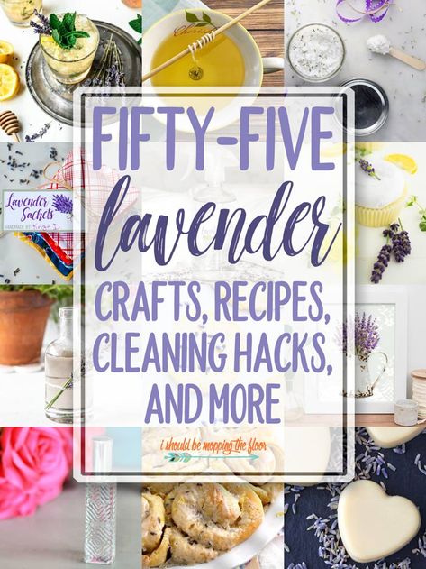 55 Lavender Crafts and Recipes Lavender Crafts Diy, Lavender Jam, Lavender Linen Spray, Lavender Shortbread Cookies, Diy Massage, Blueberry Cheesecake Bars, Lavender Uses, Mopping The Floor, Lavender Ice Cream