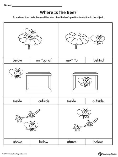 Use the correct positional word to describe the position of the bee in this preschool positional word worksheet. Inside And Outside Worksheet For Preschool, Inside Outside Worksheet For Kids, Inside Outside Worksheet, Position Words Worksheet, Maths Nursery, Positional Words Kindergarten, Homeschool House, Kg Worksheets, Preschool Math Curriculum