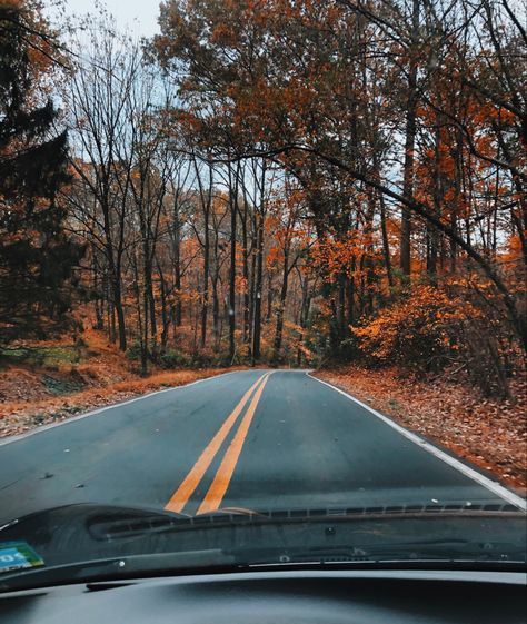 Pretty Settings, Autumn Drive, Fall Aesthetic Pictures, Fall Widgets, Fall Core, Fall Playlist, Maine Trip, Countryside Life, Fall Aesthetics