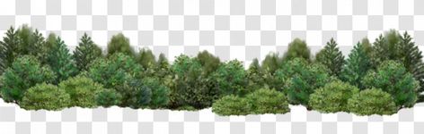 Garden Desktop Wallpaper, Bushes Png, Property Poster, Shrub Garden, Bride And Groom Cartoon, Urban Design Plan, Oneplus Wallpapers, Free Download Photoshop, Tree Png