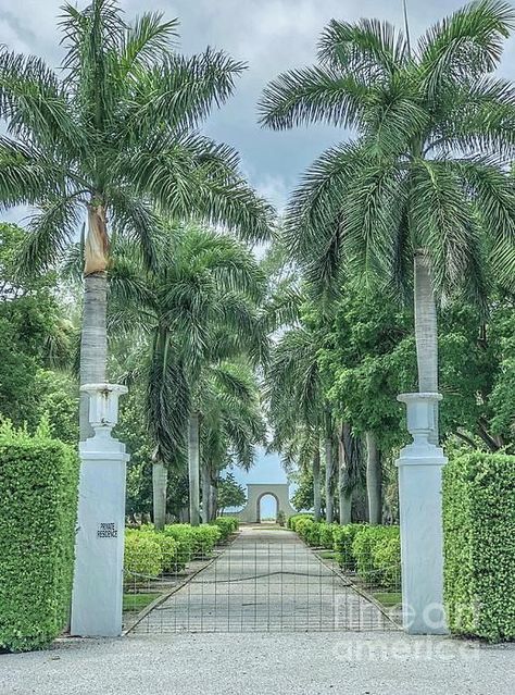 Tree Portal, Palm Trees Landscaping, Driveway Entrance, Outdoor Entryway, Gardening Landscaping, Street Trees, Hotel Entrance, Landscaping Garden, Character Aesthetics