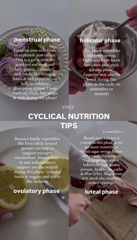 Menstrual Cycle Smoothie, Menstrual Smoothie, Eating For Your Menstrual Cycle, Ivf Meals, Victorian Sketches, Hormonal Cycle, Womb Health, Women Cycle, Cycle Phases