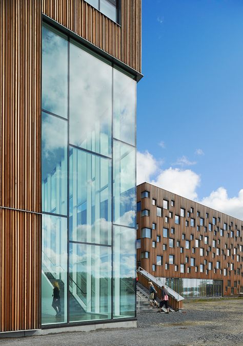 Henning Larsen Architects | Umeå Art Museum Henning Larsen, Museum Design, Renzo Piano, Curtain Wall, Glass Facades, Diagram Architecture, Building Facade, Architecture Exterior, Facade Architecture