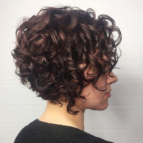 Stacked Chocolate Bob for Curly Hair Bob Inversat, Short Curly Bob Hairstyles, Kort Bob, Bob Haircut Curly, Medium Curly, Curly Hair Photos, Short Curly Haircuts, Haircuts For Curly Hair, Hair Bob