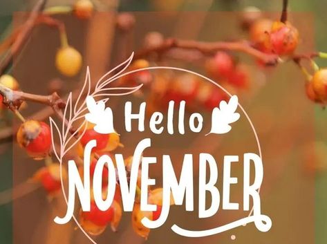 Welcome November, Autumn Skincare, Feeling Thankful, Happy November, Hello November, New Month, Perfect Moment, New Opportunities, Lessons Learned