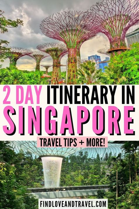 Things To Do In Holidays, Singapore Things To Do, Singapore Travel Tips, Singapore Attractions, Travel Singapore, Singapore Itinerary, Things To Do In Singapore, Singapore Photos, Visit Singapore