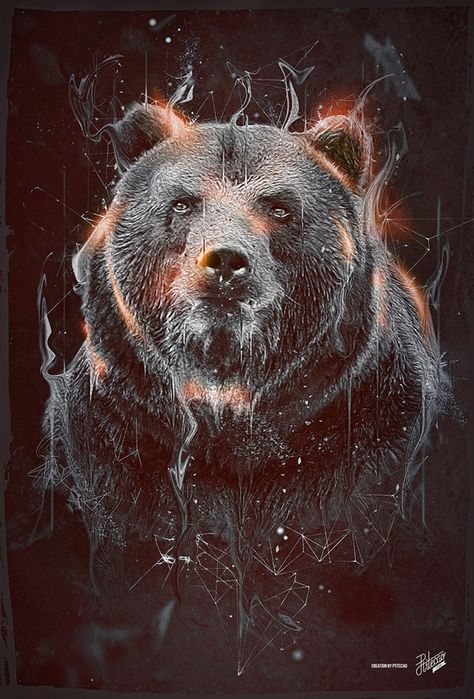 DARK BEAR on Behance Grizzly Bear, Red, Black