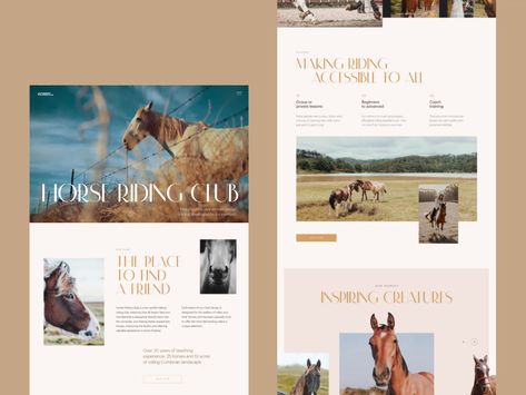 Horse Club Website Horse Event, Ux Design Mobile, Dribbble Design, Web Ideas, Horse Club, Luxury Website, News Web Design, Horse Therapy, Banner Design Inspiration