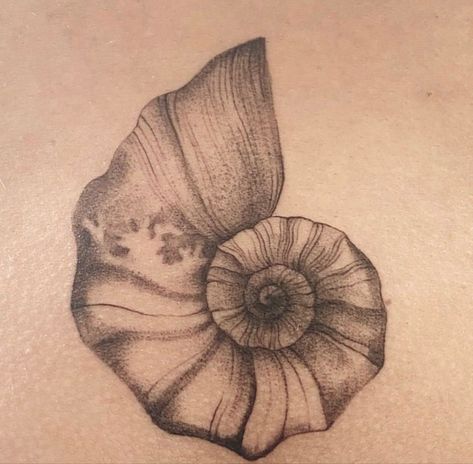 Nautilus Tattoo Sacred Geometry, Sea Shells Tattoo Design, Seashell Wave Tattoo, Nautilus Tattoo Design, Spiral Seashell Tattoo, Moon Shell Tattoo, Shell Hand Tattoo, Abalone Shell Tattoo, Nautalis Shell Tattoo