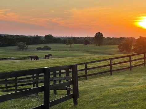 Farm Athstetic, Ranch House Astethic, Big Farm Aesthetic, Farm Sunset Aesthetic, Rich Farm Aesthetic, Southern Farm Aesthetic, Old Southern Aesthetic, Country Farm Aesthetic, Farm Asethic