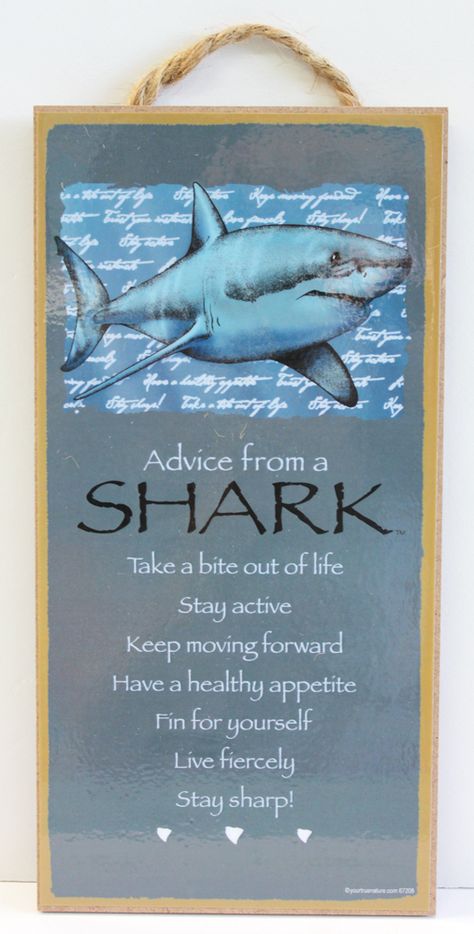 Advice from a Shark Advice From The Ocean, Homeschool Themes, Shark Sign, California Sign, Ironic Quotes, Serious Quotes, Sweet 16 Gifts, Shark Party, Music Images