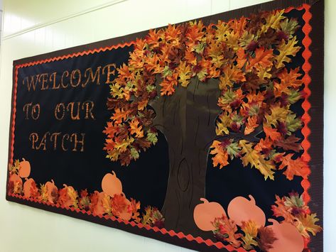 Fall Season Bulletin Boards, Fall Elementary Bulletin Board Ideas, Fall Tree Bulletin Board Ideas, Bulliten Boards Ideas Aesthetic, October Bulletin Board Ideas, Fall Bulletin Board Ideas, Fall Window Decorations, October Bulletin Board, October Bulletin Boards