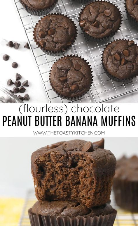 Peanut Butter Banana Chocolate Muffins, Banana Peanut Butter Muffins, Peanut Butter Chocolate Chip Muffins, Flourless Muffins, Gf Muffins, Chocolate Peanut Butter Muffins, Chocolate Protein Muffins, Paleo Banana Muffins, Banana Protein Muffins