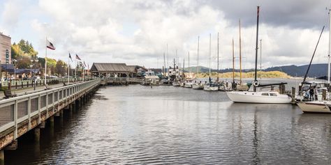 Oregon Aesthetic, Coos Bay Oregon, Oregon Nature, Oregon Mountains, Oregon Coastline, Oregon Forest, Crater Lake Oregon, Shell Island, Travel Oregon