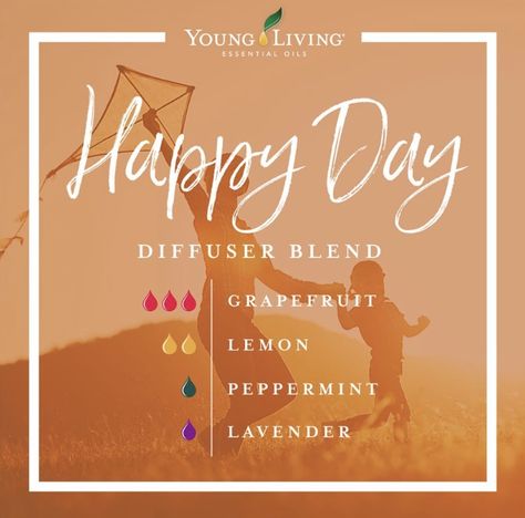 Clean Ceiling, Diffuser Blends Young Living, Young Living Products, Eo Blends, Essential Oil Combinations, Doterra Essential Oils Recipes, Essential Oil Diffuser Blends Recipes, Magia Das Ervas, Young Living Essential Oils Recipes