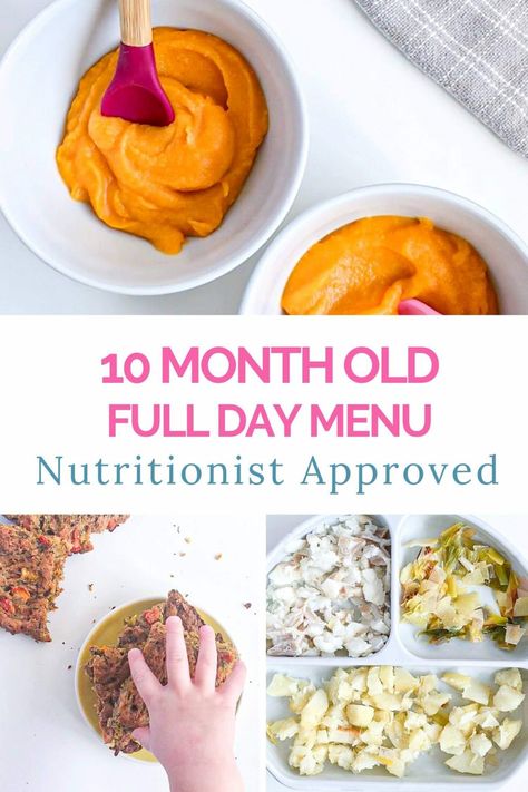 Recipes For 10 Month Old, 10 Month Old Food, Finger Food Baby, 10 Months Baby Food, 10 Month Old Baby Food, Meal Plan For Toddlers, Baby Meal Plan, Weaning Baby, Baby Nutrition