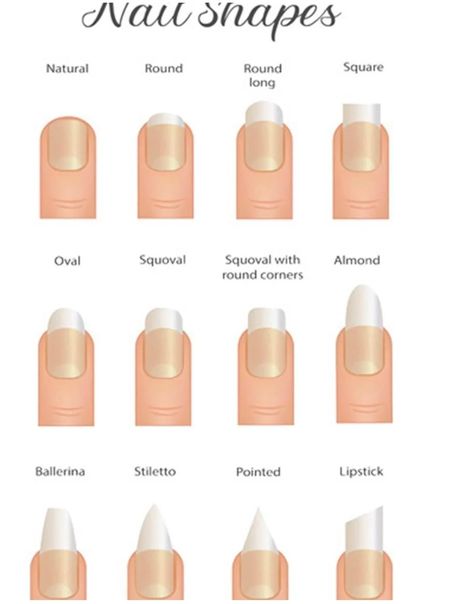 Square Oval Nails, Hawaii Nails, Oval Nail, Squoval Nails, Oval Nails, Nail Inspo, Hawaii, Square, Nails