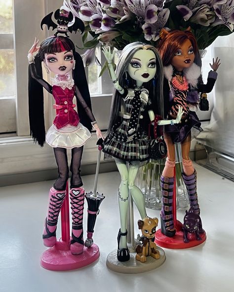 the big 3 🖤⛓️🪦🕸️ as maiorais de monster high: draculaura, frankie stein e clawdeen wolf 🤍 - - - #monsterhigh #monsterhighdolls #monsterhighdoll #dolls #dollstagram #dollcollector #monsterhighcollection #dollcollection #monsterhighcollector #monsterhighg3 #mhdoll #instadoll @monsterhigh Monster High Dolls Frankie Stein, Monster High Redesign Doll, Monster High Doll Collection, Monster High Restyle, Scene Core Wallpaper, All Monster High Dolls, Crochet Monster High, Frankie Monster High, Monster High Room