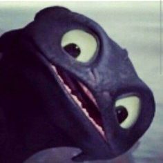 Toothless Funny, Httyd Funny, Httyd Toothless, Train Dragon, Httyd Dragons, Httyd 3, Dragon Trainer, Crazy Funny Pictures, Night Fury