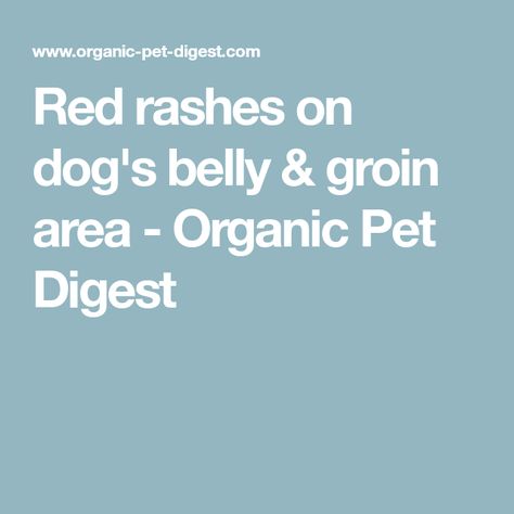 Red rashes on dog's belly & groin area - Organic Pet Digest Groin Rash, Dog Gas Remedy, Rash On Dogs Belly, Dog Upset Stomach Remedies, Dog Rash, Bland Diet For Dogs With Upset Stomach, What To Feed A Pregnant Dog, Red Rash, Old Dog