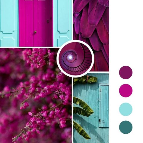 Fushia Color Combinations, Magenta Colour Palette, Magenta Teal Color Palette, Magenta Color Combinations, Teal And Magenta Color Palette, Teal Magenta Gold Color Palette, Magenta Pallete Color, Teal And Fuschia, Fuchsia Color Palette