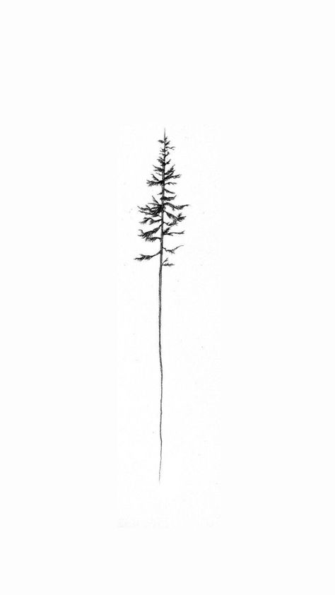 Minimalist Evergreen Tattoo, Vertical Tricep Tattoo, Redwood Tree Tattoo Simple, Botanical Drawing Tattoo, Nature Tatoos Woman, Tree Tattoo On Spine, Back Line Tattoo Women, Sequoia Tree Tattoo Simple, Tree With Roots Tattoo Simple