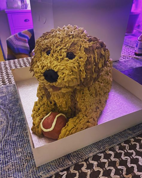 Doodle Cake, Golden Doodle, Naan Bread, Sweetie Pie, Naan, Goldendoodle, Scones, Cooking And Baking, This Weekend