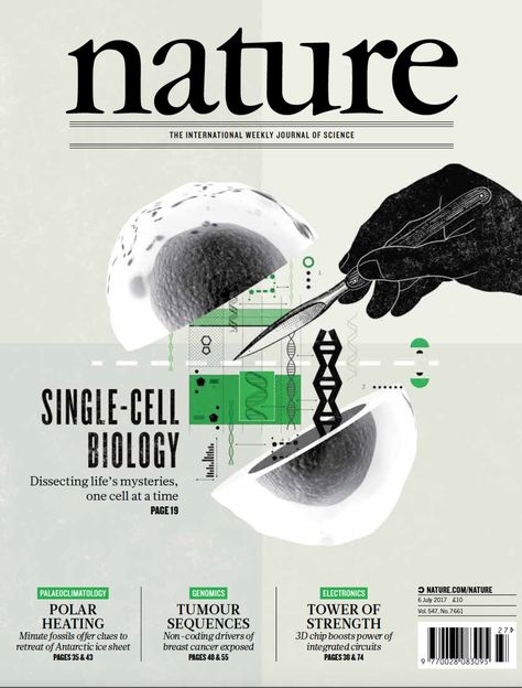 Nature Magazine Cover, Magazine Cover Illustration, Scientific Magazine, Scientific Poster Design, Nature Magazine, Biology Poster, Magazine Cover Ideas, Scientific Poster, Science Magazine