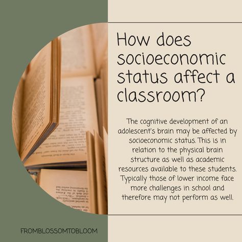 How do you account for differences in socioeconomic status? Socio Economic Status, Human Development Index Economics, Socioeconomic Status, Indian Economic Development, Socio Economic, Social Media Advantages And Disadvantages, Brain Structure, Human Relations, Cognitive Development