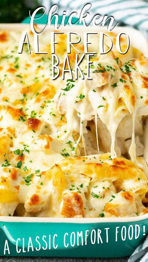 Pesto Chicken Pasta Recipes, Chicken Pasta Creamy, Alfredo Bake, Pasta Creamy, Chicken Alfredo Bake, Pasta Recipes Alfredo, Cooked Chicken Recipes, Chicken Alfredo Recipes, Chicken Alfredo Pasta