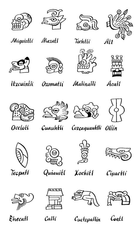 MesoAmerican glyph legend | Flickr - Photo Sharing! Aztec Drawings, Aztec Symbols, Aztec Tattoos, Aztec Tattoo Designs, Mayan Symbols, Aztec Culture, Mayan Art, Aztec Tattoo, Aztec Warrior