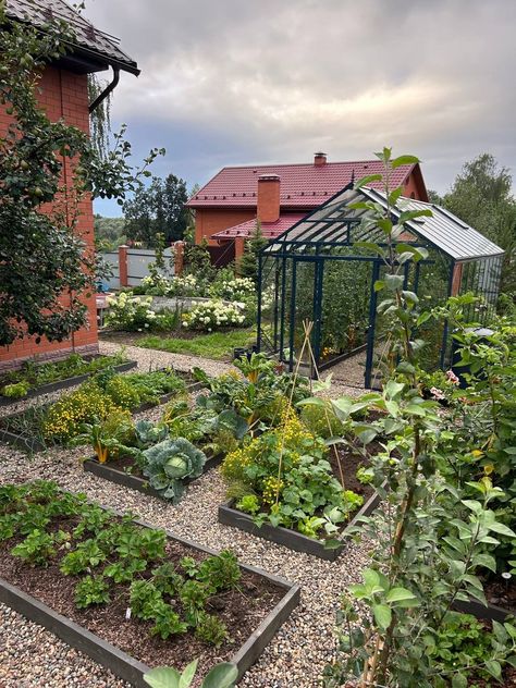 Garden With Vegetable Patch, Cottage Garden Vegetable Patch, Orchard Garden Layout Fruit Trees, Cottage Veggie Garden, Vegetable Garden Inspiration, Allotment Design, Edible Front Yard, Unique Garden Ideas, Backyard Garden Landscaping