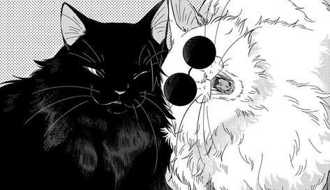 Wallpaper Notebook, Laptop Wallpaper Desktop Wallpapers, Bakugou Manga, Wallpaper Laptop, Black And White Wallpaper, Cute Anime Wallpaper, Cat Wallpaper, Cute Wallpaper Backgrounds, Laptop Wallpaper