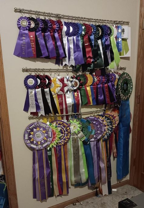 Dog Show Rosettes, Dog Show Ribbon Display Ideas, Dog Show Ribbons, Horse Show Ribbon Display Ideas, Show Ribbon Display Ideas, Ribbon Display Ideas, Rosette Display, Show Ribbon Display, Dog Ribbon