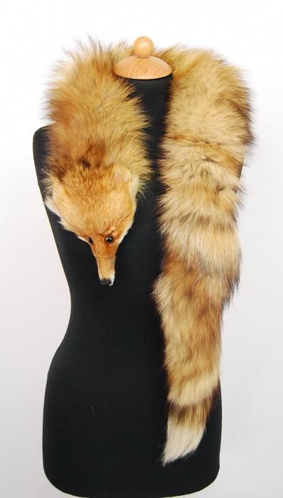 Fox fur stoles, my mum had one. Spirits Bard, Taxidermy Fox, Hide Tanning, Animal Slaughter, Red Foxes, Fox Costume, Fox Scarf, Fox Fur Scarf, New England Home