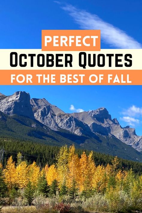 1 October Quotes, October 1st Quote, October Sayings, October Captions, Hello October Quotes, Welcome October, October Quotes, Inspirational Funny, Monthly Quotes