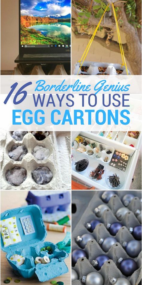 Egg Carton Uses Ideas, Repurposed Egg Cartons, Egg Carton Recycle Ideas, Recycling Egg Cartons, Egg Carton Upcycle, Upcycle Egg Cartons, Egg Carton Storage Ideas, What To Do With Egg Cartons, Egg Carton Uses