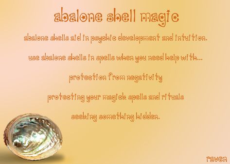 Abalone Shell Magic Shell Spell, Sea Shell Spiritual Meaning, Abalone Shell Meaning, Seashells Witchcraft, Pagan Magick, Water Witch, Seashell Art Diy, Healing Crystals Meanings, Moon Journal