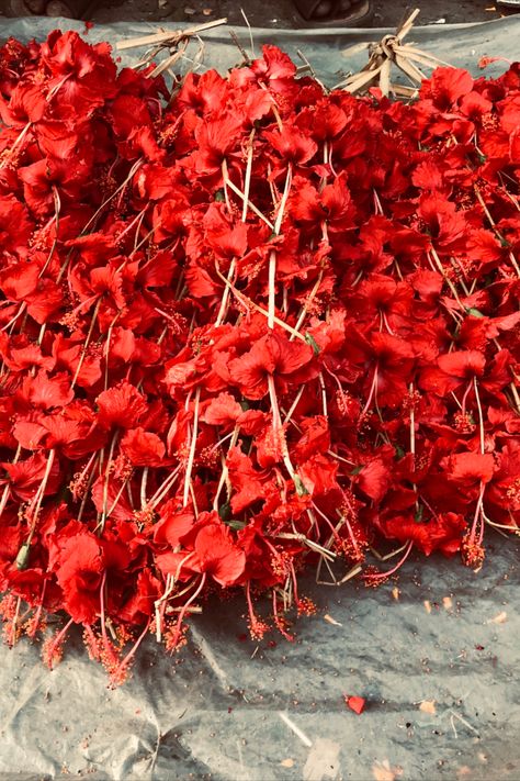 The wholesale flower market in Kolkata early one morning. The scents and sights were totally intoxicating. Wholesale Flowers, Flower Market, Kolkata, Red Peppercorn, Scents, India, Plants, Flowers, Color