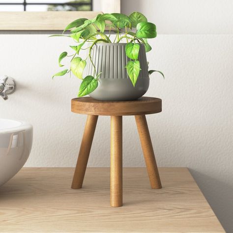 Foundstone™ Biskra Round Corner Poplar Plant Stand & Reviews | Wayfair Plant Stand Wood, Modern Towels, Tall Plant Stands, Corner Plant, Support Pour Plante, Modern Plant Stand, Light Colored Wood, Telephone Table, Wooden Plant Stands