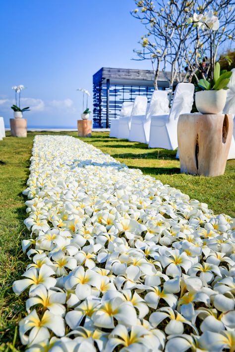 Plumeria Centerpiece Weddings, Plumeria Wedding Decorations, Plumeria Bridal Bouquet, Hawaiian Flower Bouquet Beach Weddings, Wedding Bouquets Frangipani, Tahiti Wedding, Plumeria Wedding, Godly Wedding, Frangipani Wedding