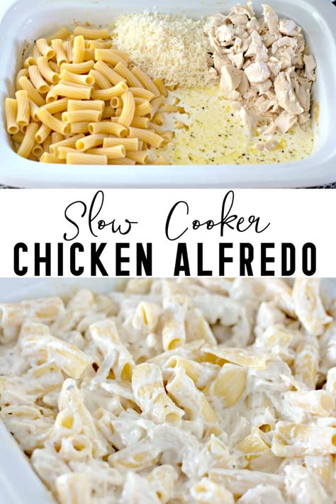 Slow Cooker Chicken Alfredo, Chicken Crockpot Recipes Easy, Easy Crockpot Dinners, Chicken Alfredo Recipes, Slow Cooked Chicken, Homemade Alfredo, Homemade Alfredo Sauce, Alfredo Recipe, Crockpot Dishes