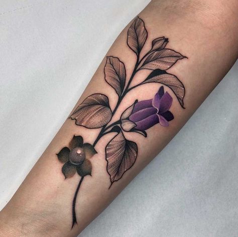 Deadly Nightshade Tattoo, Nightshade Tattoo, Belladonna Flower, Nightshade Flower, Plant Tattoos, Deadly Nightshade, Army Tattoos, Tattoo Flowers, Landscape Tattoo