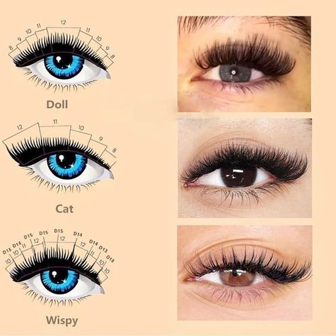 Flora lashes _factory | Lash tip Back to the 𝐁𝐚𝐬𝐢𝐜 lash knowledge: What is 𝐂𝐥𝐚𝐬𝐬𝐢𝐜, 𝐇𝐲𝐛𝐫𝐢𝐝, 𝐕𝐨𝐥𝐮𝐦𝐞, 𝐚𝐧𝐝 𝐌𝐞𝐠𝐚 𝐕𝐨𝐥𝐮𝐦𝐞⤵️ 📍𝐂𝐥𝐚𝐬𝐬𝐢𝐜 𝐋𝐚𝐬𝐡𝐞𝐬: it’s kind of simple… | Instagram Lash Thickness, Natural Looking Eyelash Extensions, Mega Volume Lashes, Classic Lashes, Volume Lash Extensions, Thick Lashes, Dark Look, Natural Eye Makeup, Lash Artist