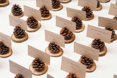 Holiday Wedding Tips: Thanksgiving! – New Jersey Bride Pinecone Wedding Decorations, Jul Diy, Place Card Holders Wedding, Forest Theme Wedding, Rustic Wedding Decorations, Forest Party, Enchanted Forest Wedding, Wedding Card Holder, בר מצווה