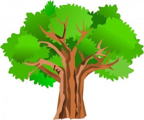 TREE CLIP ART | 175 Free Clip Art Trees | HubPages Family Tree Clipart, 5 Little Monkeys, Cartoon Trees, Free Clipart Images, Tree Removal, Tree Clipart, Tree Images, Tree Graphic, Mario Brothers