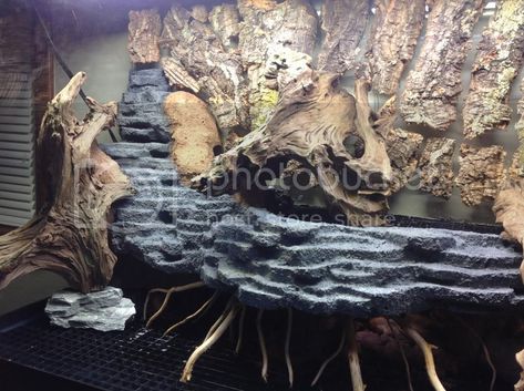 Frog Paludarium, Monitor Enclosure, Aquarium Waterfall, Water Turtles, Bearded Dragon Diy, Snake Terrarium, Bearded Dragon Cage, Frog Terrarium, Frog Tank