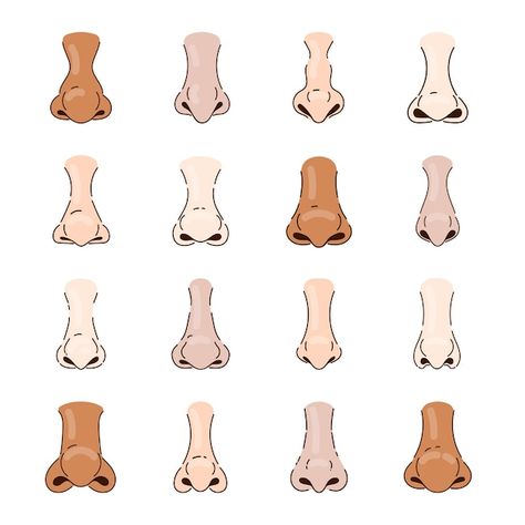 Different human noses cartoon illustrati... | Premium Vector #Freepik #vector #brain-anatomy #brain-illustration #cartoon-nose #lungs Nose Illustration, Cartoon Nose, Nose Cartoon, Cartoon Noses, Brain Illustration, Brain Anatomy, Illustration Cartoon, Nose Job, Cartoon Man