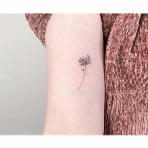 Chrysanthemums Tattoo, Flowers Chrysanthemums, Chrysanthemum Flower Tattoo, Tattoos Inspo, Chrysanthemum Tattoo, C Tattoo, Daisy Tattoo, Birth Flower Tattoos, Chrysanthemum Flower