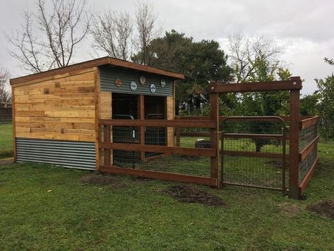 Metal Goat Shed, Sheep Shelter Diy, Alpaca Shelter, Goat Shelter Diy, Goat Farming Ideas, Goat Shelter Ideas, Diy Goat Shelter, Sheep Shelter, Goat Fence